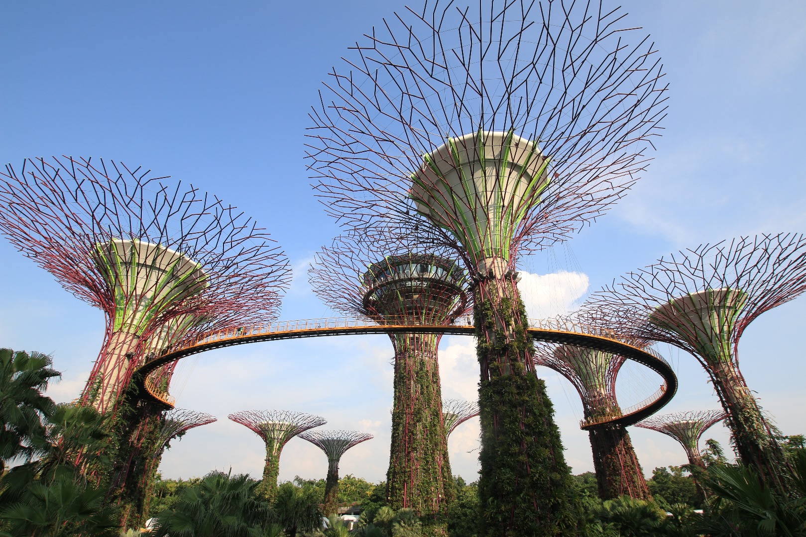 super trees in singapore