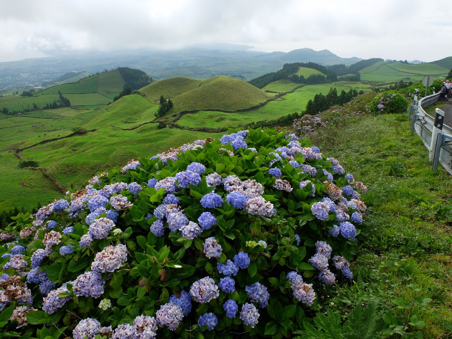 san miguel azores portugal